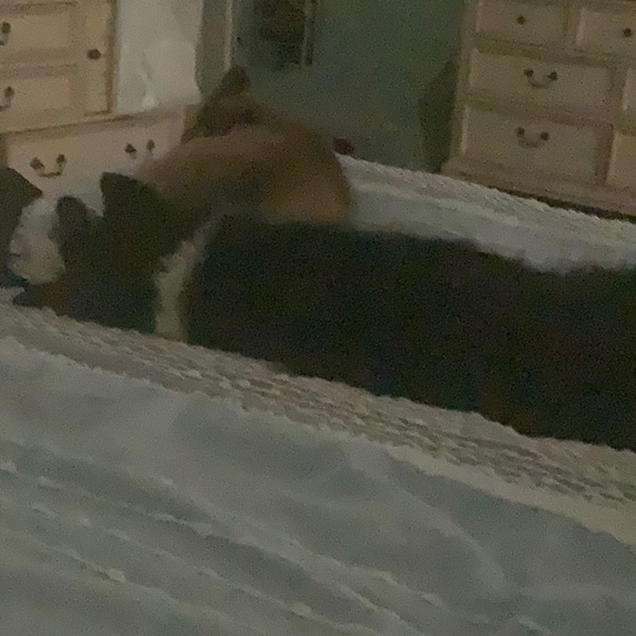 Meet your Posher, Tina - Picture 1 of 1